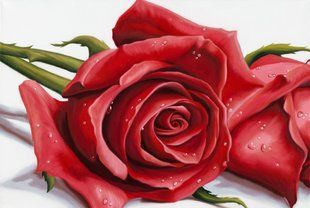 Набір для алмазної мозаїки ColorArt 20х30 Троянди DT703, повна викладка, квадратні алмазики 580920331 фото