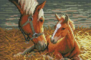 Набір для алмазної мозаїки ColorArt Коні 20х30 DT707 580920958 фото