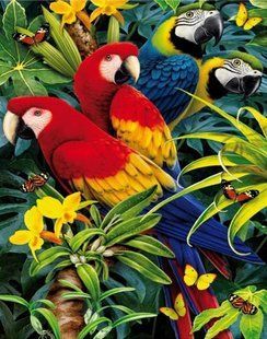 Алмазна мозаїка ColorArt 30х40см Папуги ST434 580904132 фото