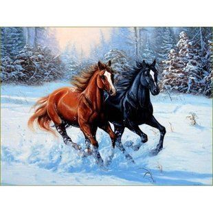 Набір алмазної мозаїки ColorArt 30х40см Коні ST413 580909159 фото