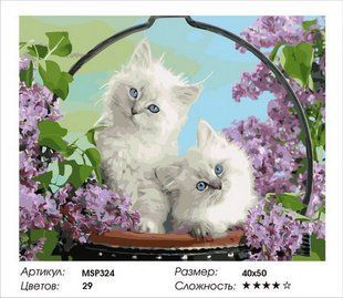 Набір для малювання по номерах 40х50 Пухнасті котики MSP324 з підрамником 1232632004 фото